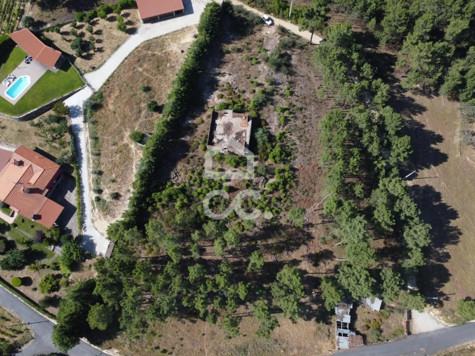 Terreno para Venda em São Pedro de Agostem Foto 29