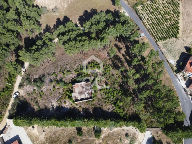 Terreno para Venda em São Pedro de Agostem Foto 28