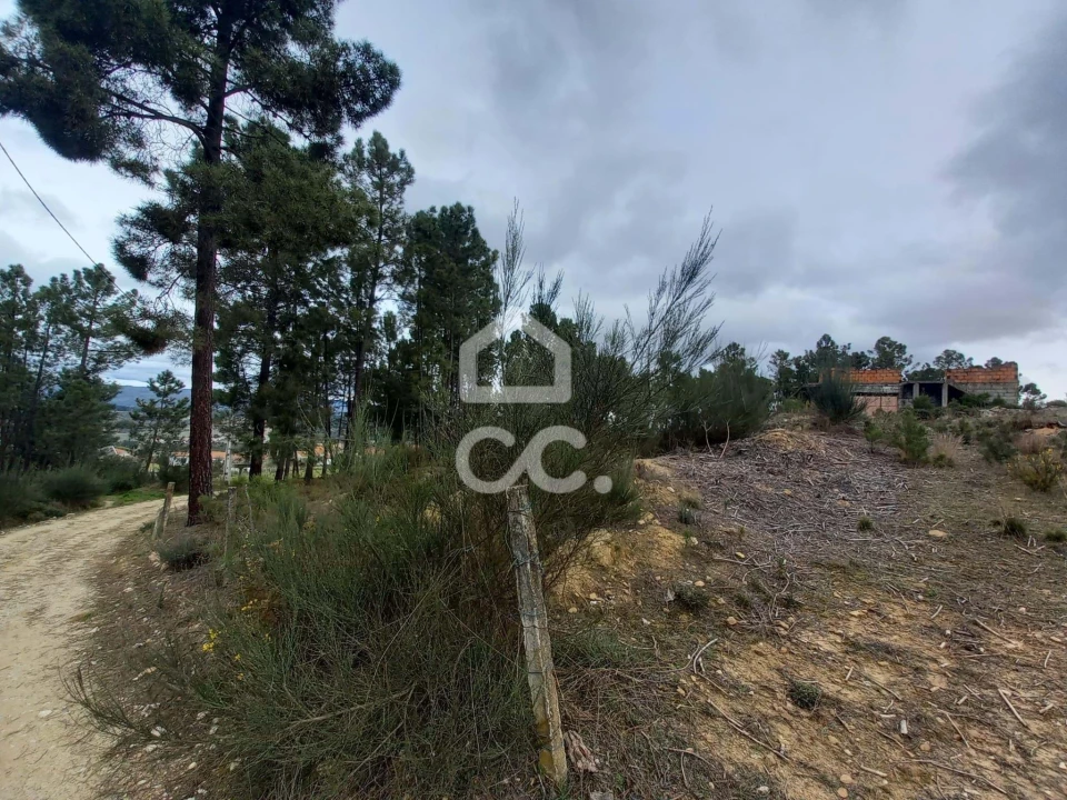 Terreno para Venda em São Pedro de Agostem Foto 22