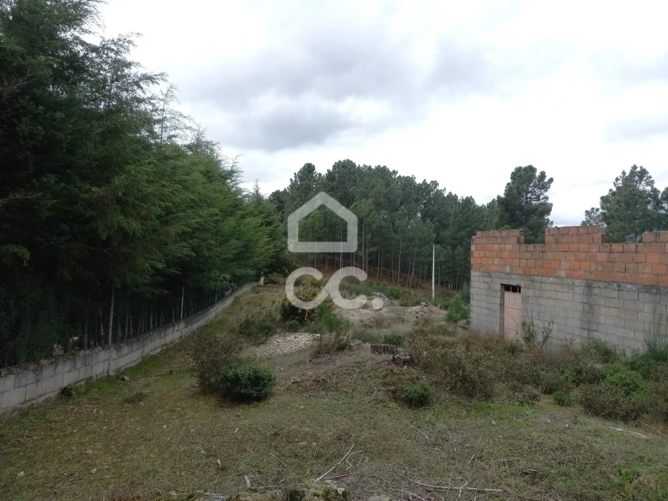Terreno para Venda em São Pedro de Agostem Foto 3