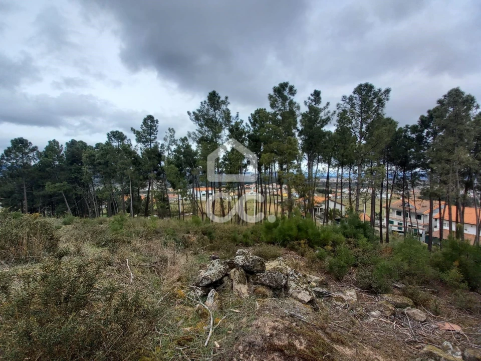 Terreno para Venda em São Pedro de Agostem Foto 17
