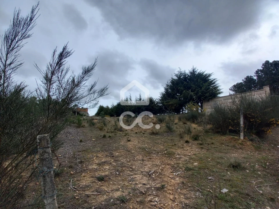 Terreno para Venda em São Pedro de Agostem Foto 10