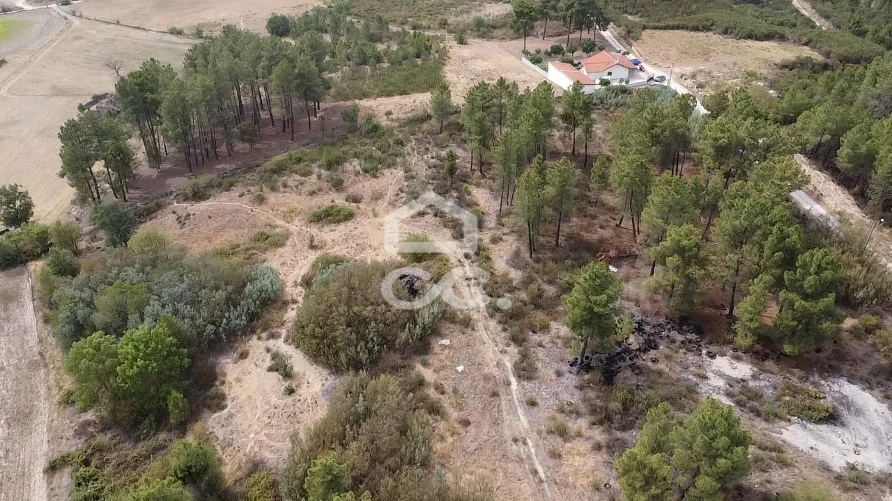 Quinta T4 para Venda em Madalena e Samaiões Foto 25