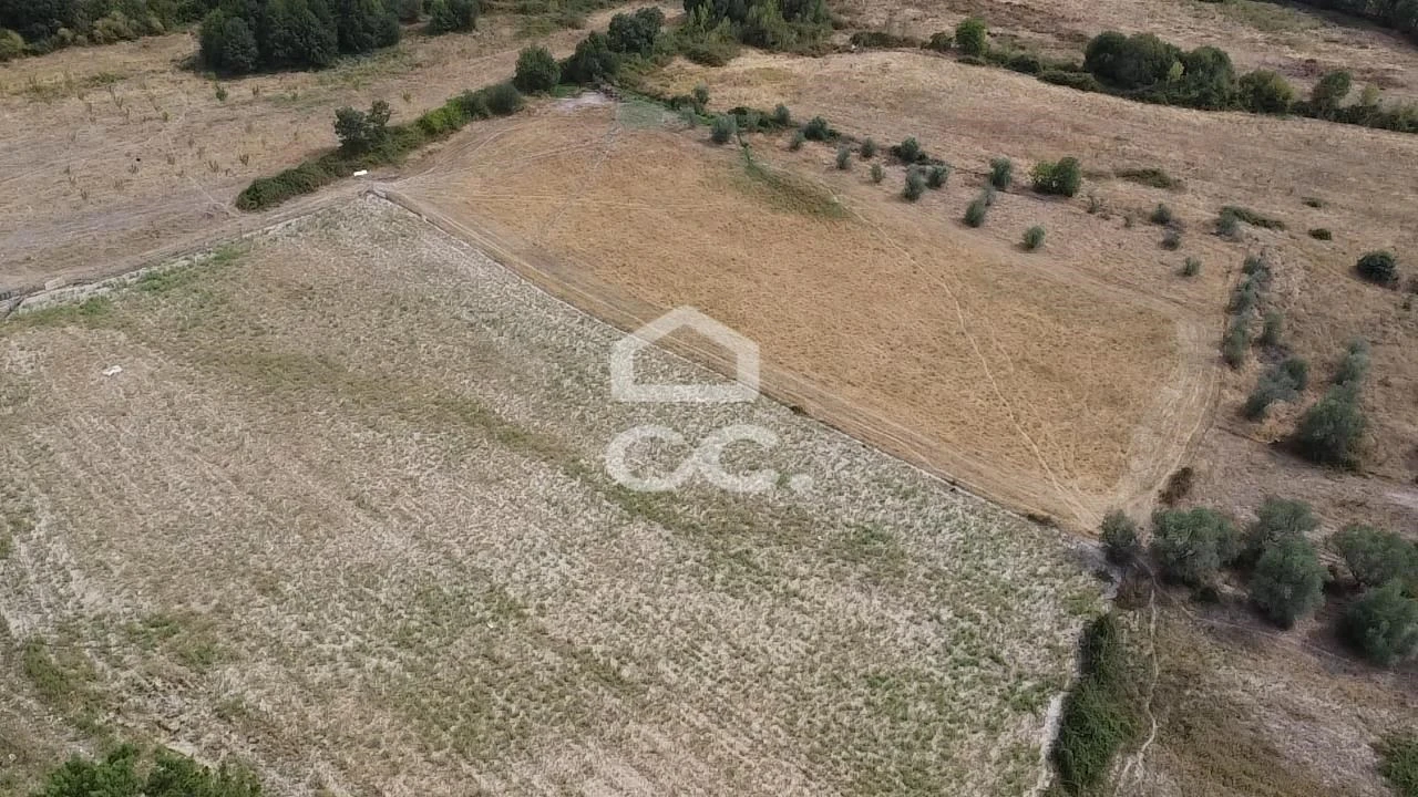 Quinta T4 para Venda em Madalena e Samaiões Foto 27