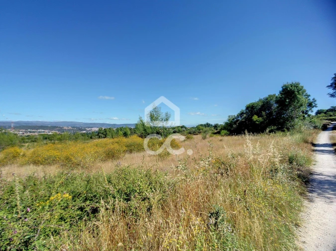 Terreno para Venda em Madalena e Samaiões Foto 2