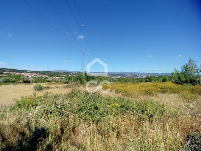 Terreno para Venda em Madalena e Samaiões Foto 4
