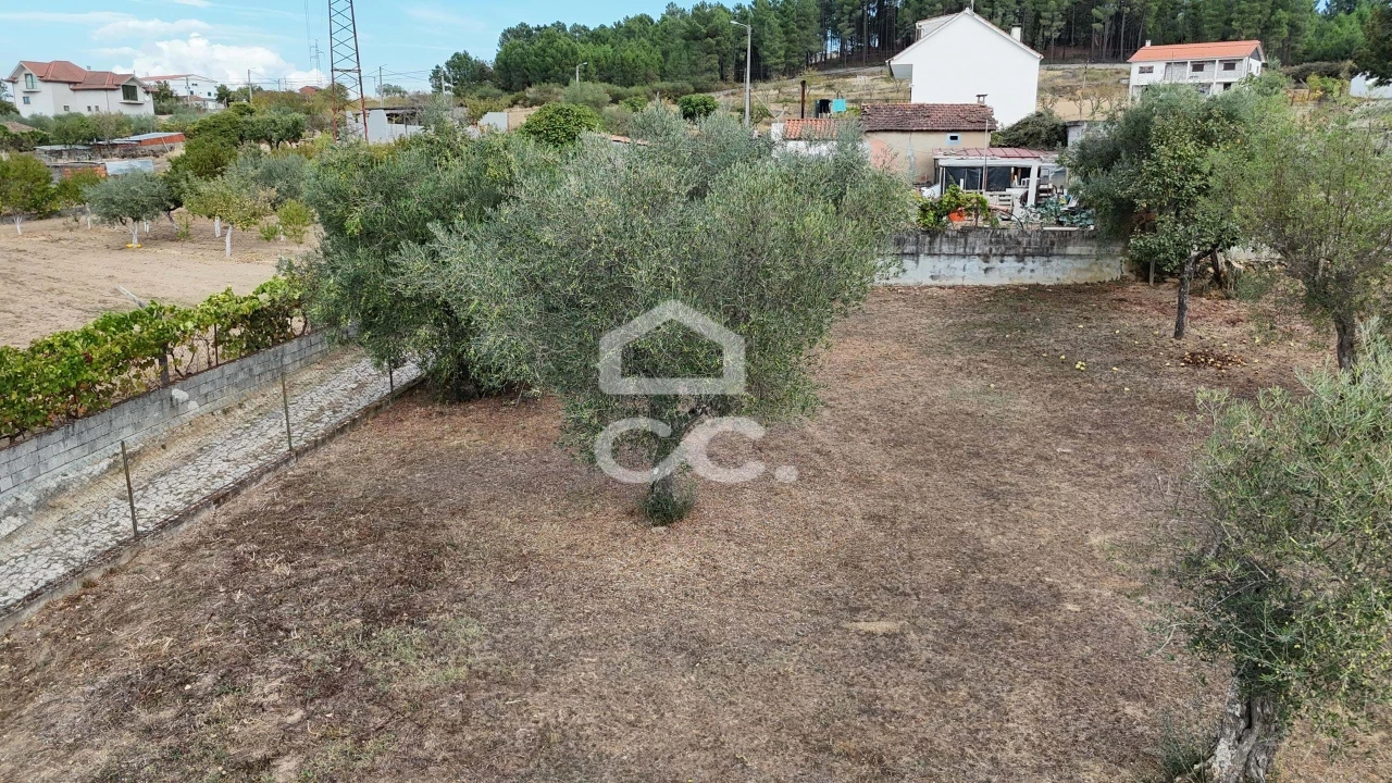 Terreno para Venda em São Pedro de Agostem Foto 17