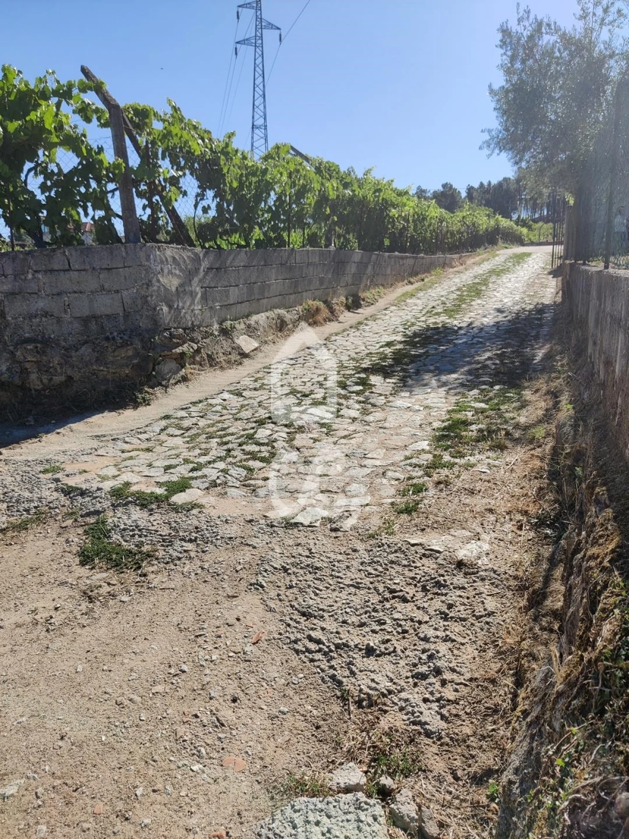 Terreno para Venda em São Pedro de Agostem Foto 21