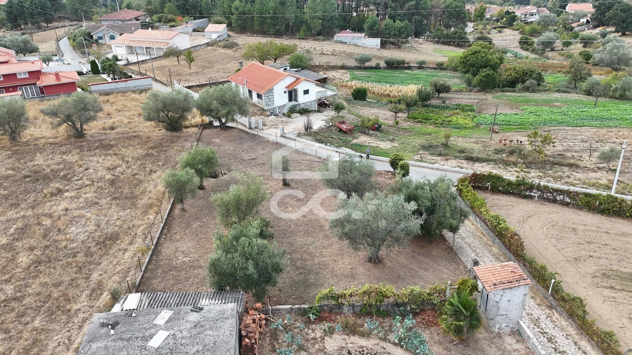 Terreno para Venda em São Pedro de Agostem Foto 8