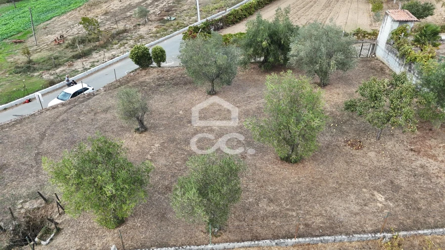 Terreno para Venda em São Pedro de Agostem Foto 12