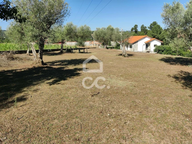 Terreno para Venda em São Pedro de Agostem Foto 25