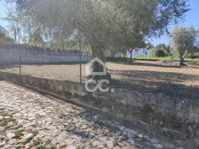 Terreno para Venda em São Pedro de Agostem Foto 23