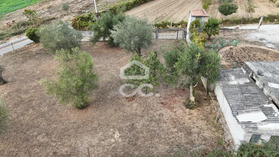 Terreno para Venda em São Pedro de Agostem Foto 11