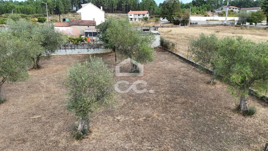 Terreno para Venda em São Pedro de Agostem Foto 15