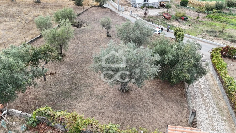 Terreno para Venda em São Pedro de Agostem Foto 9