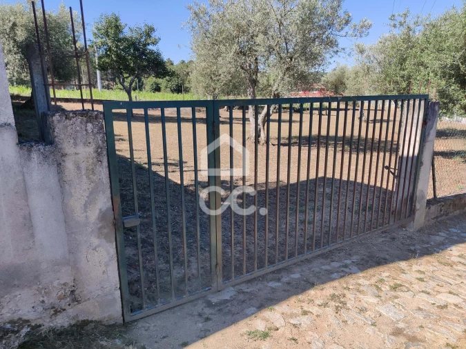 Terreno para Venda em São Pedro de Agostem Foto 22