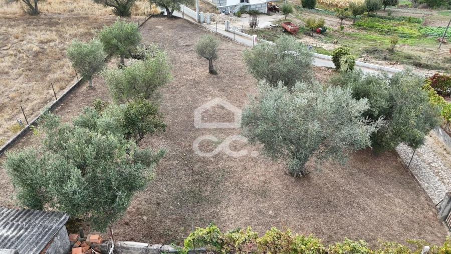 Terreno para Venda em São Pedro de Agostem Foto 10