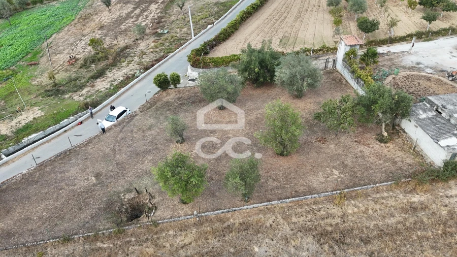 Terreno para Venda em São Pedro de Agostem Foto 6