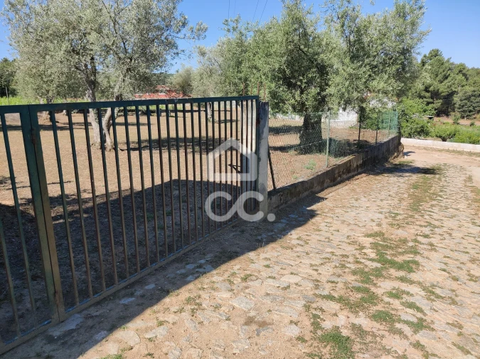 Terreno para Venda em São Pedro de Agostem Foto 27