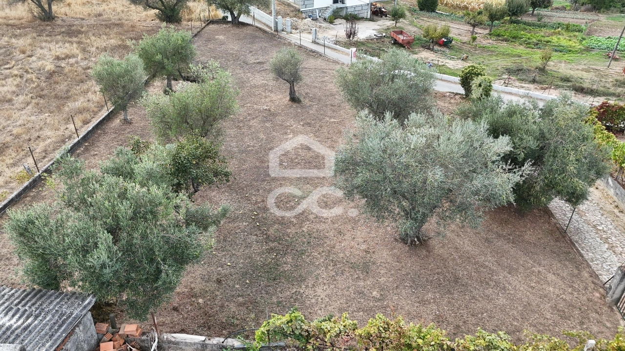 Terreno para Venda em São Pedro de Agostem Foto 10