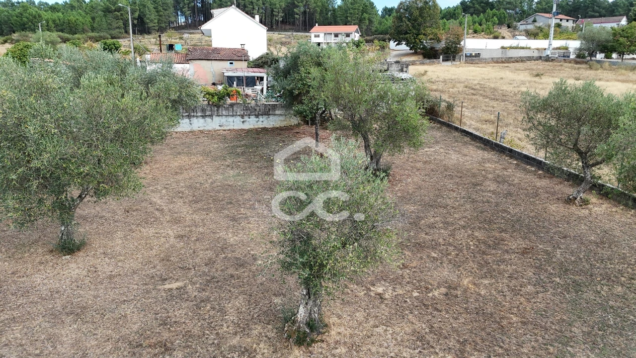 Terreno para Venda em São Pedro de Agostem Foto 16