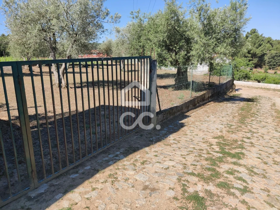 Terreno para Venda em São Pedro de Agostem Foto 27