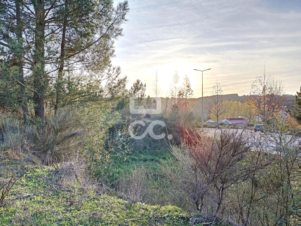 Terreno para Venda em São Pedro de Agostem Foto 12