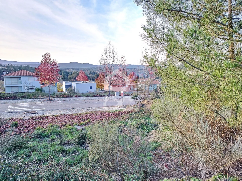 Terreno para Venda em São Pedro de Agostem Foto 15