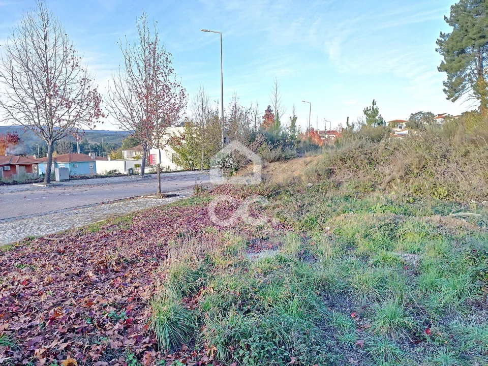 Terreno para Venda em São Pedro de Agostem Foto 9