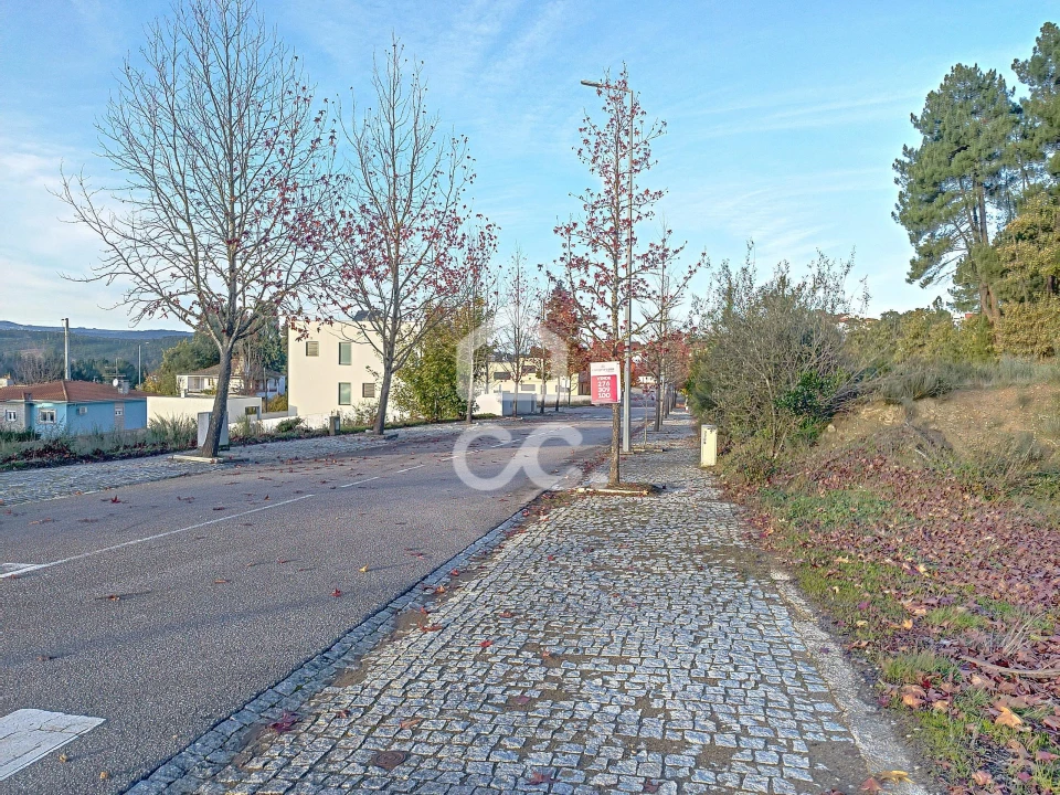 Terreno para Venda em São Pedro de Agostem Foto 10