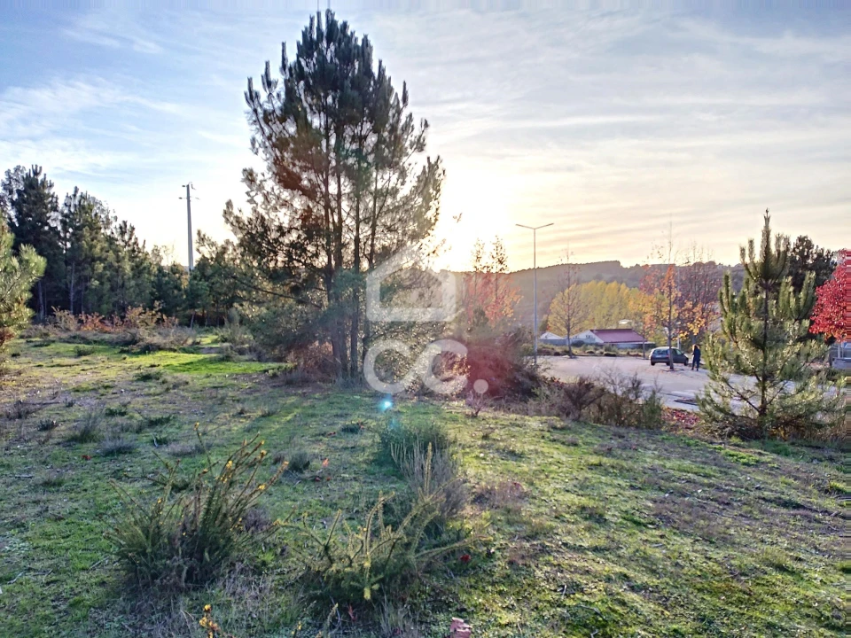 Terreno para Venda em São Pedro de Agostem Foto 11