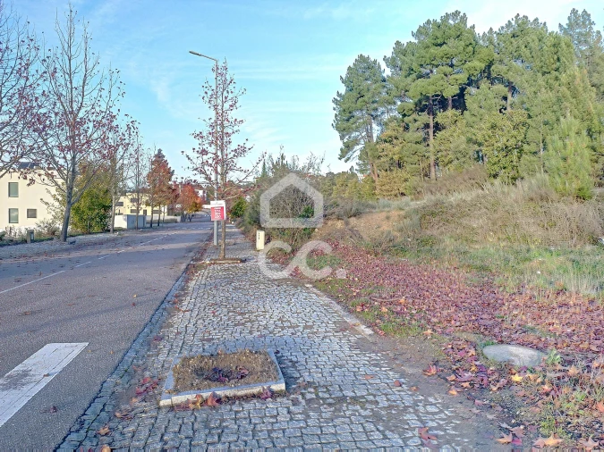 Terreno para Venda em São Pedro de Agostem Foto 6