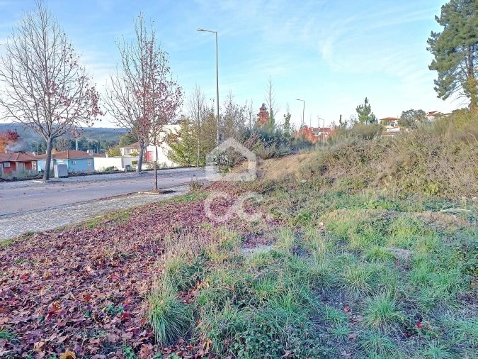Terreno para Venda em São Pedro de Agostem Foto 9