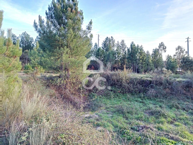 Terreno para Venda em São Pedro de Agostem Foto 19