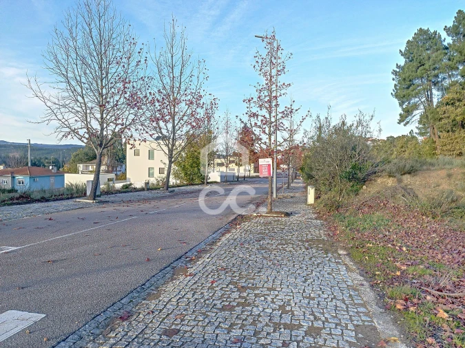 Terreno para Venda em São Pedro de Agostem Foto 10