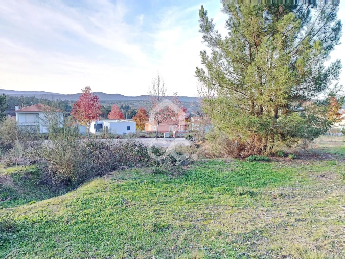 Terreno para Venda em São Pedro de Agostem Foto 13