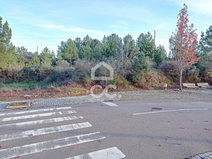 Terreno para Venda em São Pedro de Agostem Foto 3