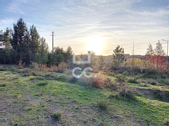 Terreno para Venda em São Pedro de Agostem Foto 14