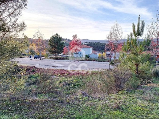Terreno para Venda em São Pedro de Agostem Foto 18