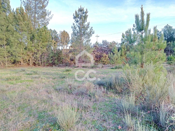 Terreno para Venda em São Pedro de Agostem Foto 20