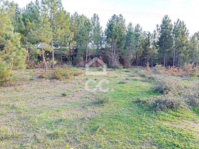 Terreno para Venda em São Pedro de Agostem Foto 16