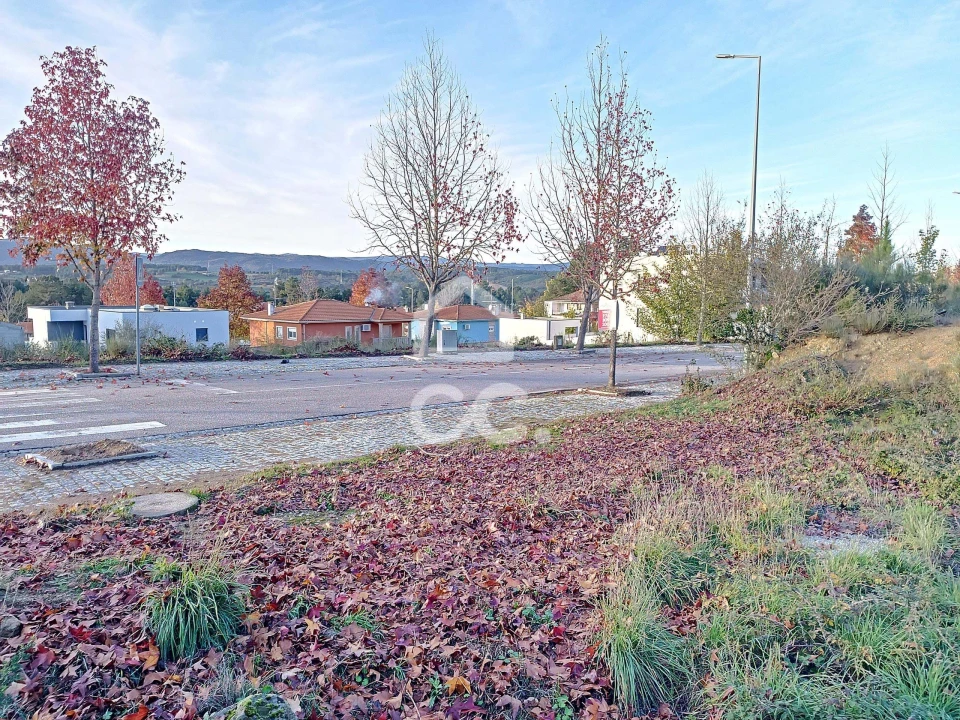 Terreno para Venda em São Pedro de Agostem Foto 8
