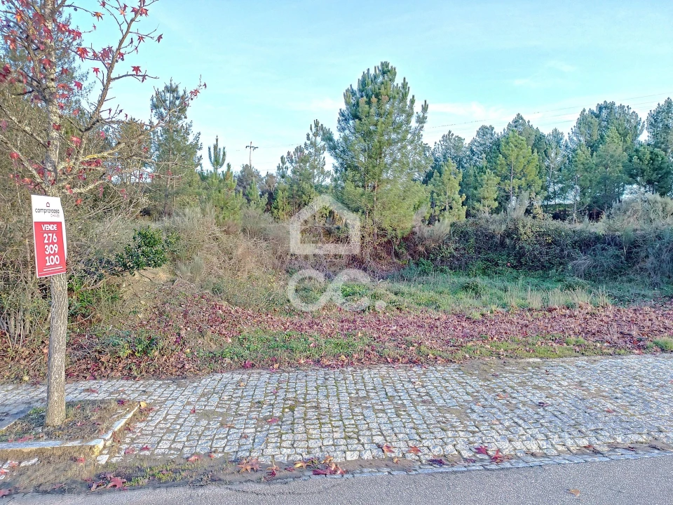 Terreno para Venda em São Pedro de Agostem Foto 1