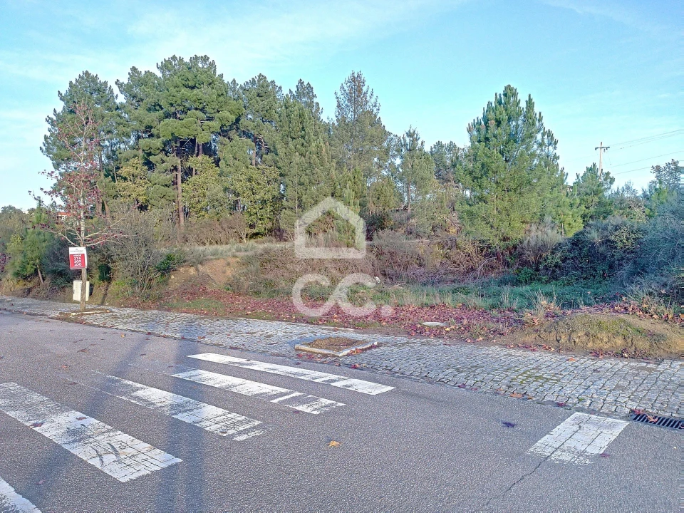 Terreno para Venda em São Pedro de Agostem Foto 4