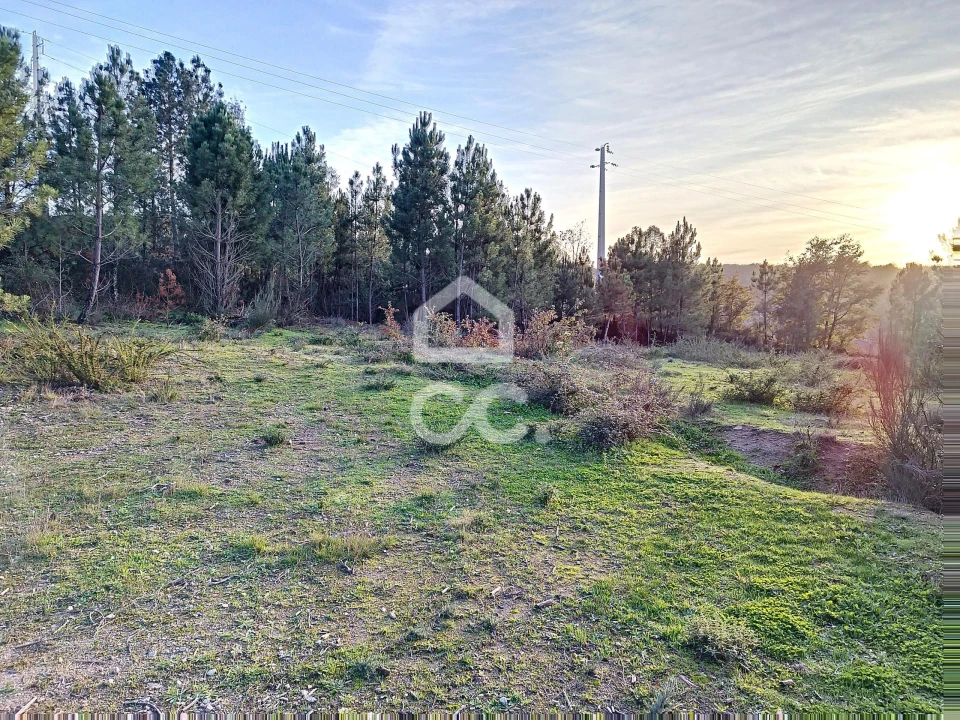 Terreno para Venda em São Pedro de Agostem Foto 17