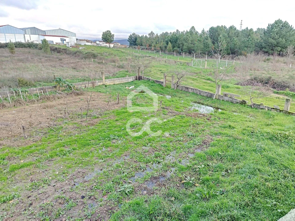 Moradia para Venda em Santa Cruz/Trindade e Sanjurge Foto 13