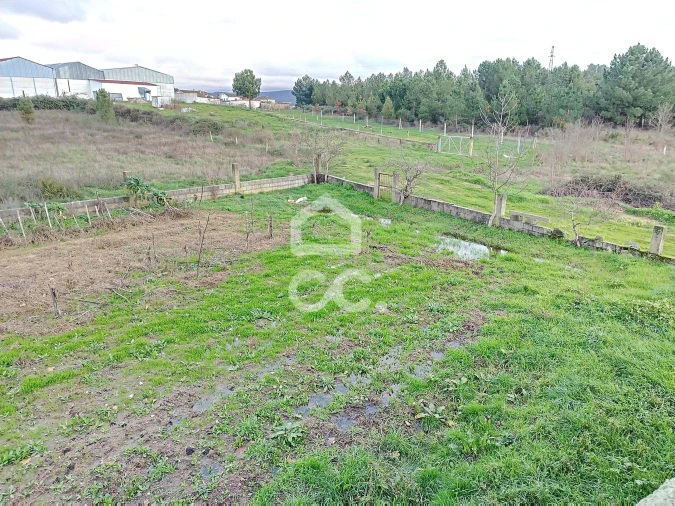 Moradia para Venda em Santa Cruz/Trindade e Sanjurge Foto 13