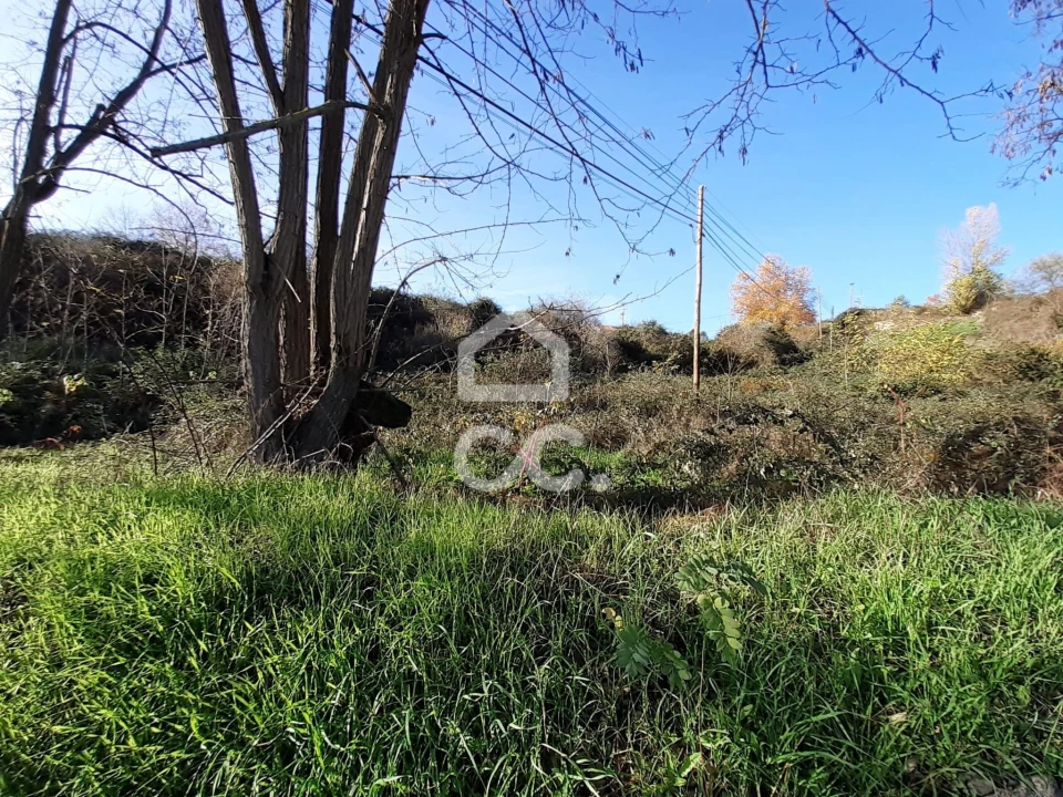 Terreno para Venda em Santa Maria Maior Foto 4