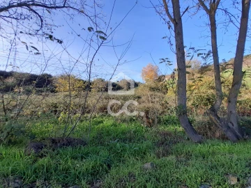 Terreno para Venda em Santa Maria Maior