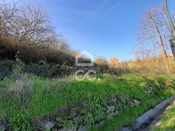 Terreno para Venda em Santa Maria Maior